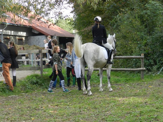 Babie Lato 2016